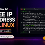 How to See IP Address in Linux