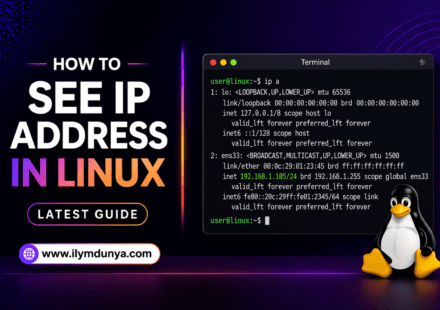 How to See IP Address in Linux