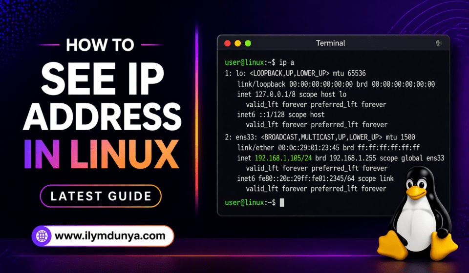 How to See IP Address in Linux