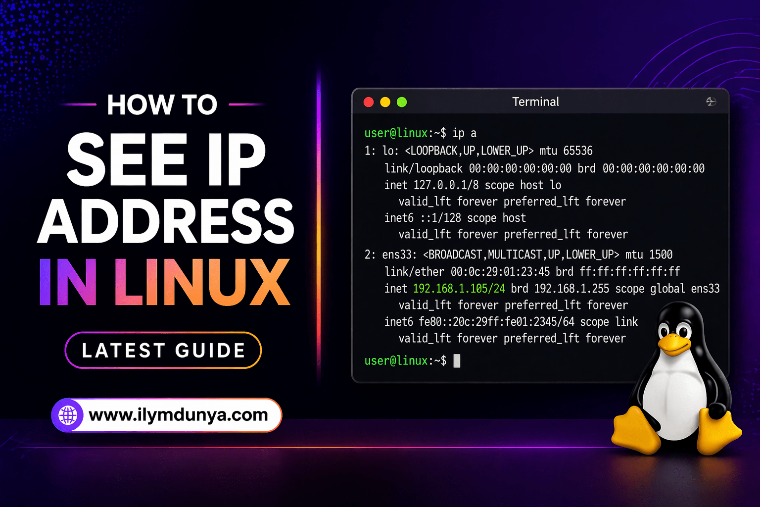How to See IP Address in Linux